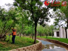 【建筑垃圾】建筑垃圾變身再生骨料，只差一臺(tái)移動(dòng)破碎機(jī)！